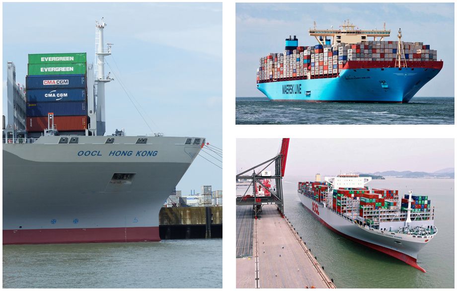 Odoo • A picture with a caption